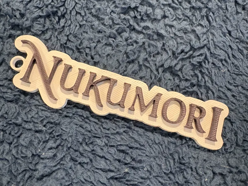 Ron Clark Academy Nukumori House Keychain