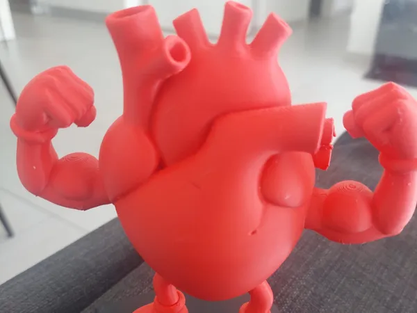 https://makerworld.bblmw.com/makerworld/model/US1cfed9b1b7658c/design/2025-08-22_80bb23ead8a408.jpeg