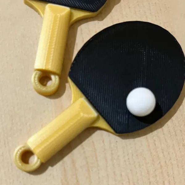 https://makerworld.bblmw.com/makerworld/model/US1d0093fb2e9441/design/2024-11-07_a989780dda6e.jpg