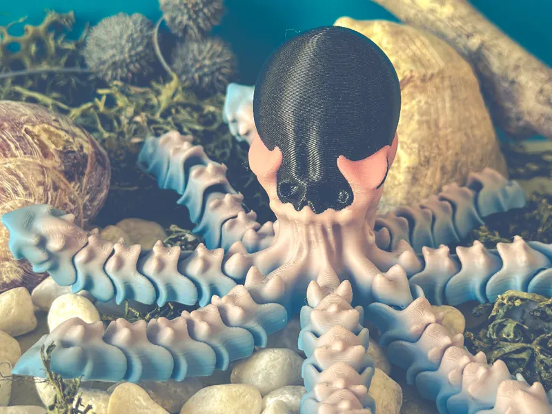 Articulated Skull Octopus