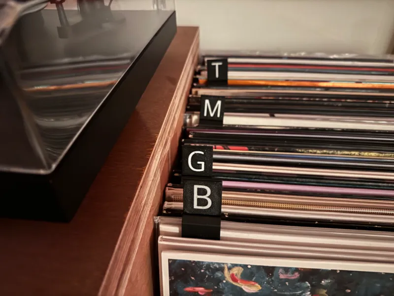 Vinyl Record Divider Clips