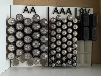 Battery Organizer Without CR batteries