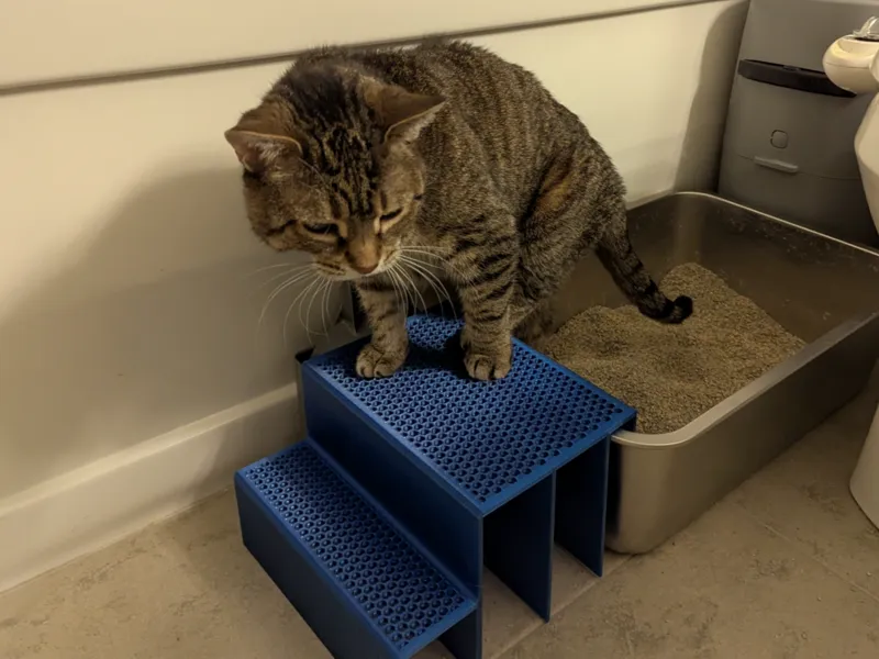 Cat Litter Box Step, THE POOP PERCH 2.0 XL EDITION
