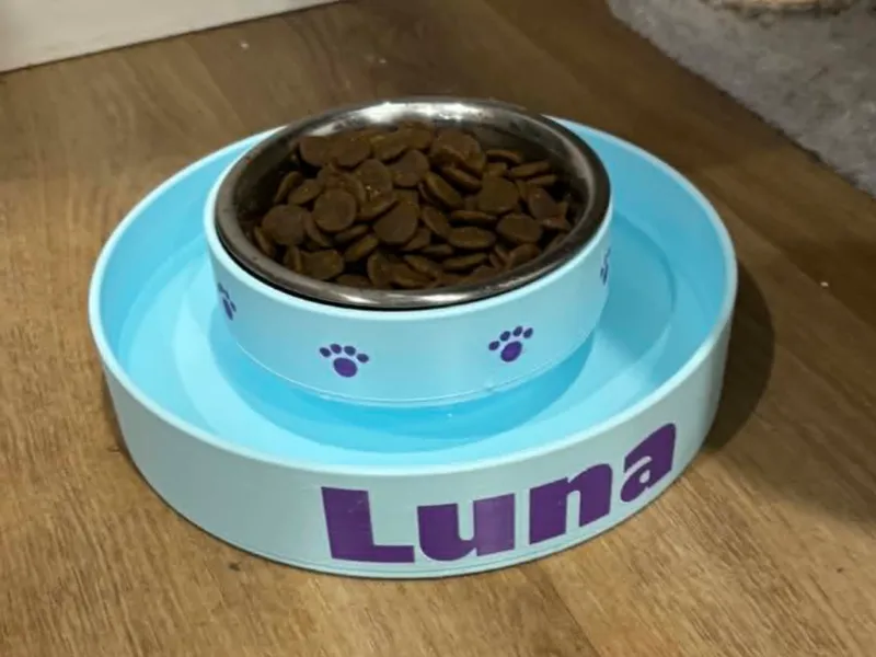 Anti-Ant Pet Bowl — Water Moat Food Bowl (3 Sizes)