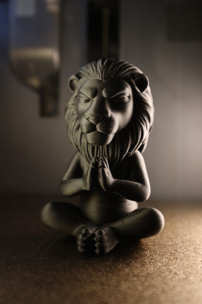 Miniatura 2 do modelo 3D Grumpy Zen Lion