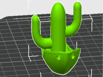 cactus benchi