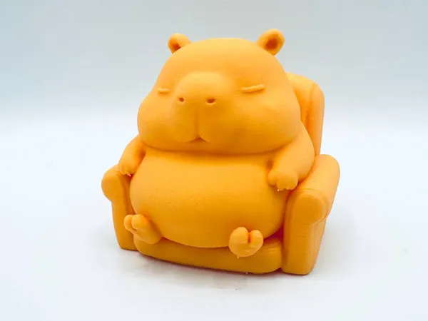 https://makerworld.bblmw.com/makerworld/model/US1d2756fa3d9d8b/design/2025-04-18_b32b1b204b77c.jpg