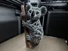 Voronoi Koala Climbing Tree 4 farbig XXL