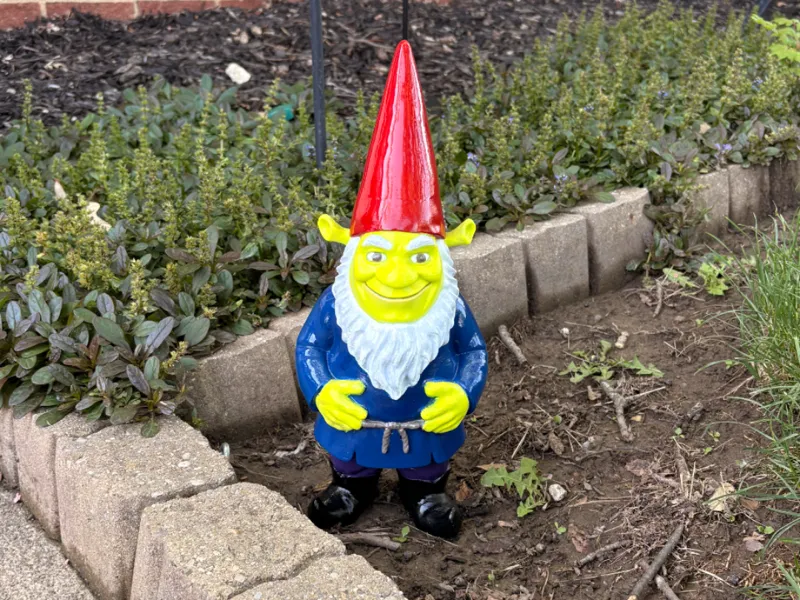 Shrek Gnome