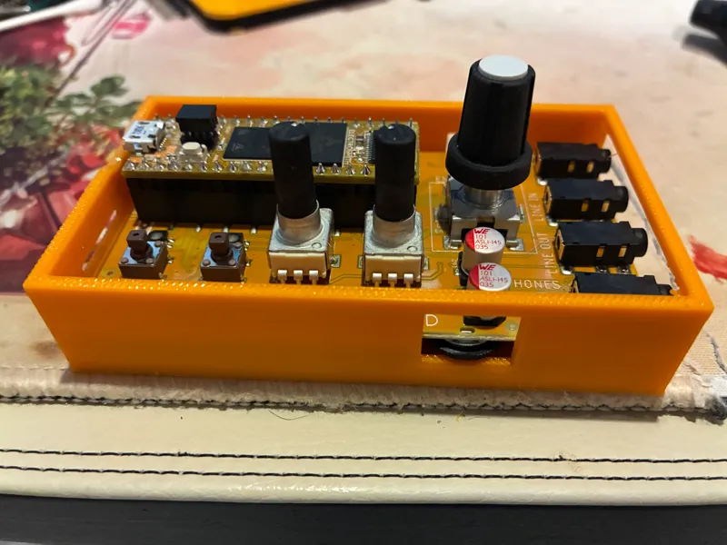 Daisy Seed Pod case/bottom
