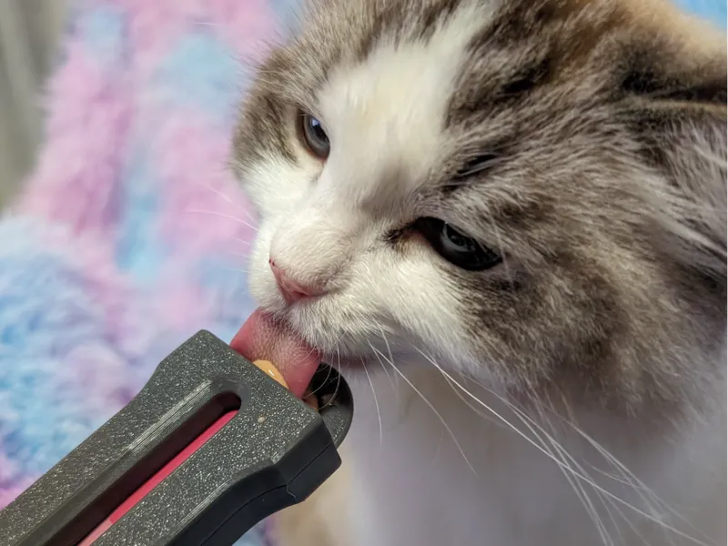 Dispenser for Lickable Cat Treats