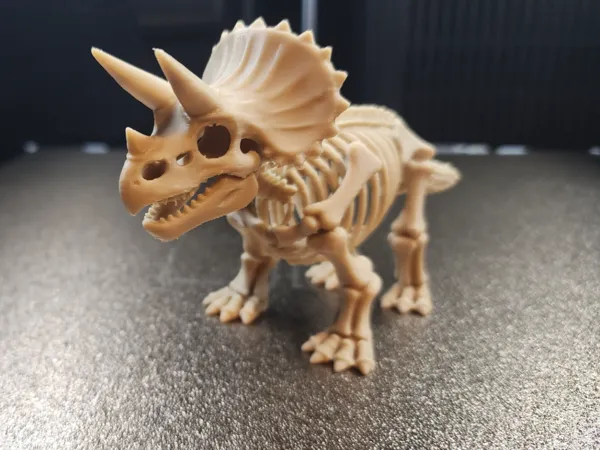 https://makerworld.bblmw.com/makerworld/model/US1d38f0e419605e/design/29e15c1f4f59dfb5.jpg