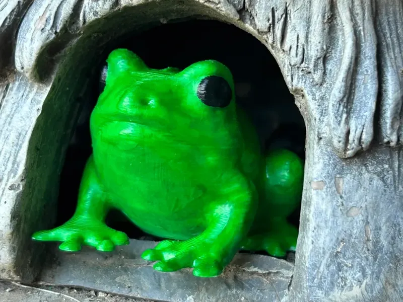 Froggy Friend