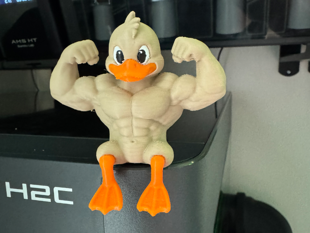 Muscular Duck