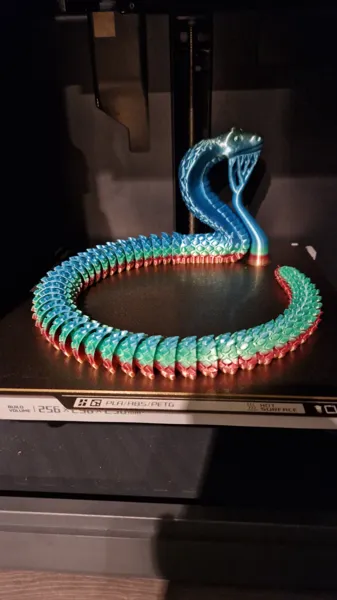 https://makerworld.bblmw.com/makerworld/model/US1d433035717d9f/design/2024-04-07_tnj825mesny6.jpg
