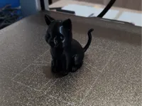 Nouveau chat — photo 2