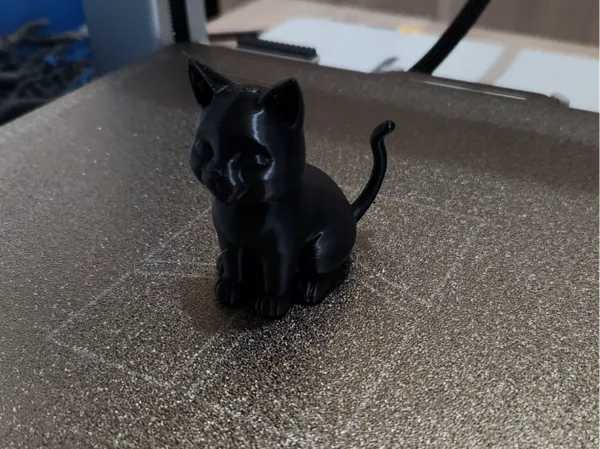 Nouveau chat