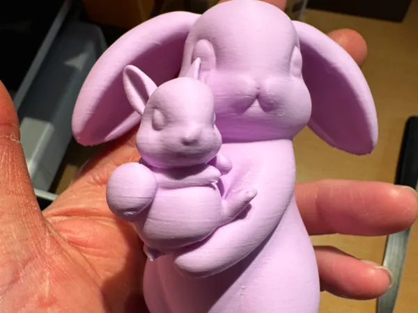 https://makerworld.bblmw.com/makerworld/model/US1d4661ef17b120/design/2025-02-19_811250e5b15b48.jpg
