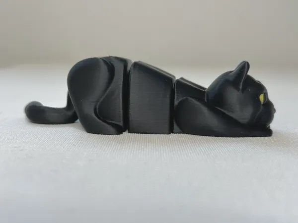 https://makerworld.bblmw.com/makerworld/model/US1d49e8a17a6479/design/2025-01-11_7b6ca22d6bd42.jpeg