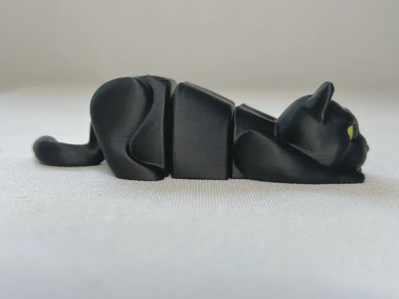 Black Cat Ready to Pounce fidget