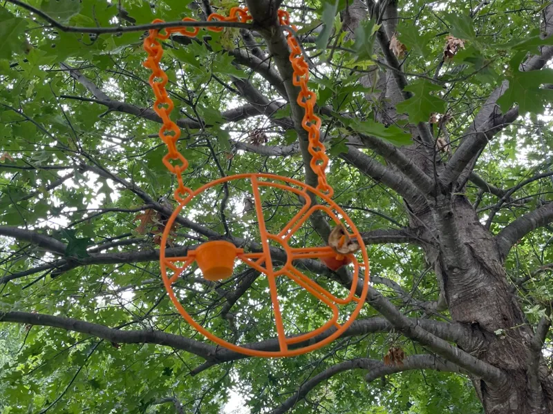 Clementine Oriole Bird Feeder - Fruit/Jelly Holder