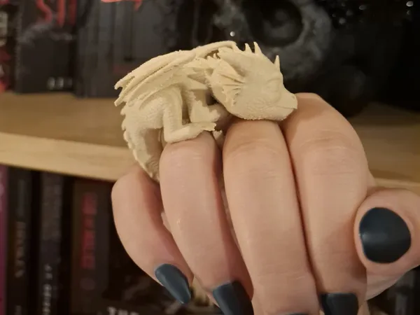 https://makerworld.bblmw.com/makerworld/model/US1d4b5247c7d441/design/2025-11-19_f03e32261fd5e8.jpg