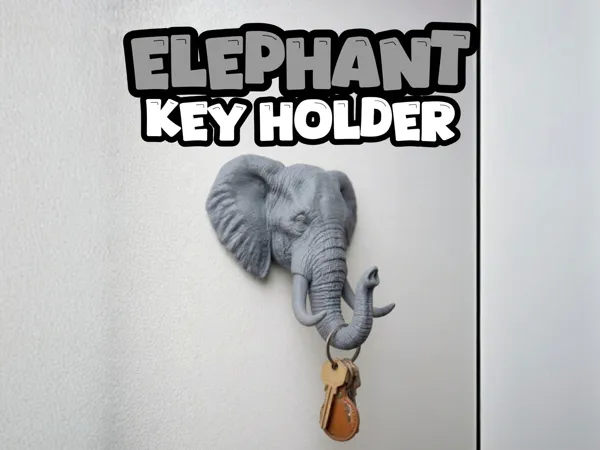 https://makerworld.bblmw.com/makerworld/model/US1d4d340582a0d7/design/1ef4a74862e96d5d.jpg