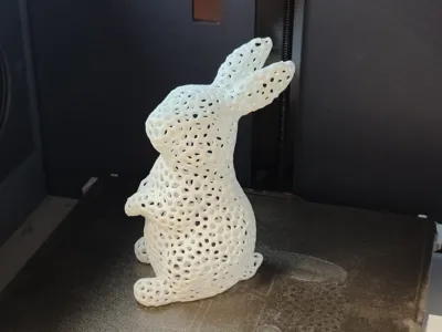 Bunny