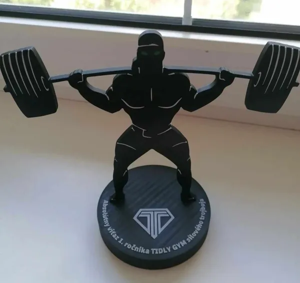 https://makerworld.bblmw.com/makerworld/model/US1d4ee139da8a43/design/2024-09-12_faca82a20a97.jpg