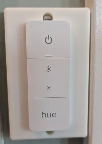 Hue Switch Cover for Paddle Switch