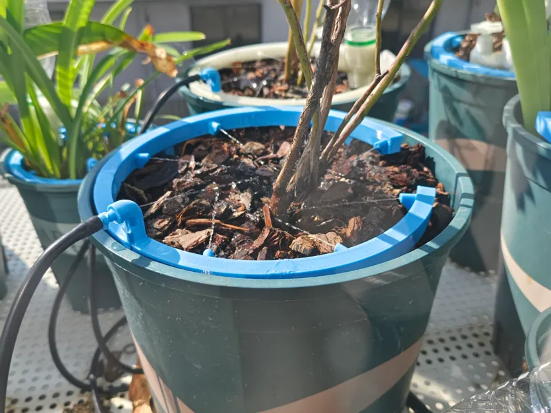 围绕花盆的浇水器 Waterer around the pot