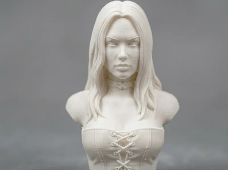 Trish Devil May Cry Bust 3D Print Model 352