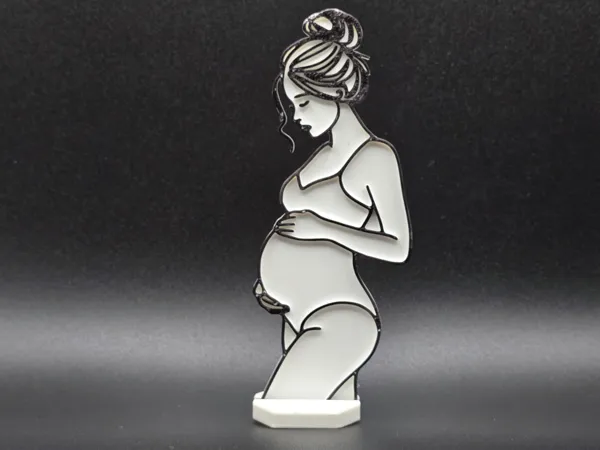 https://makerworld.bblmw.com/makerworld/model/US1d5ed33101cba6/design/2025-05-27_d18efadbbd6538.jpg