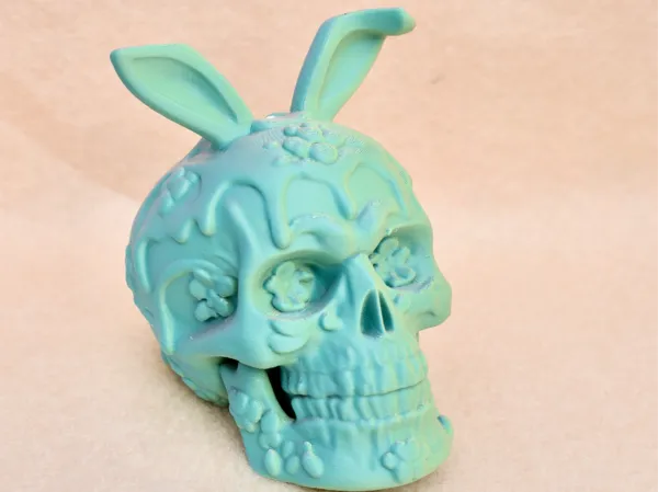 https://makerworld.bblmw.com/makerworld/model/US1d62a8e759c586/design/2025-03-09_64e381292ad55.jpeg