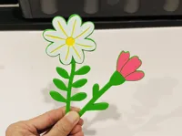 Carnation and Daisy