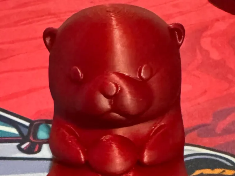 very cute otterery cute otter