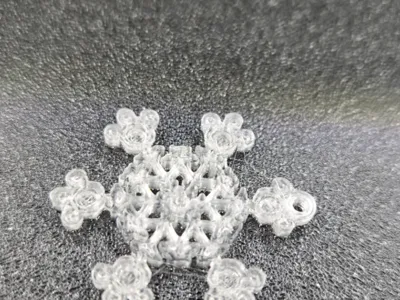 Snowflake earings
