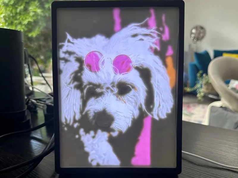 Cool Cavachon