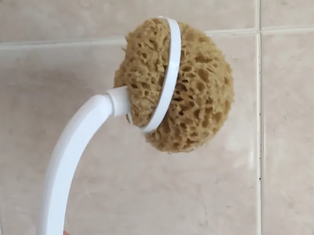 Adaptador Esponja para Ducha