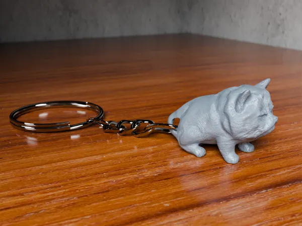 https://makerworld.bblmw.com/makerworld/model/US1d6f3c9f99e788/design/2024-05-11_f887ad1aad3d4.png