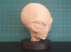 0.16mm layer, 2 walls, 15% infill