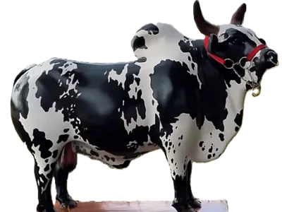 toroe