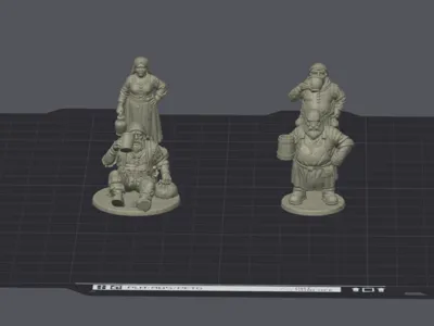 D&D Miniature Tavern Town Folk