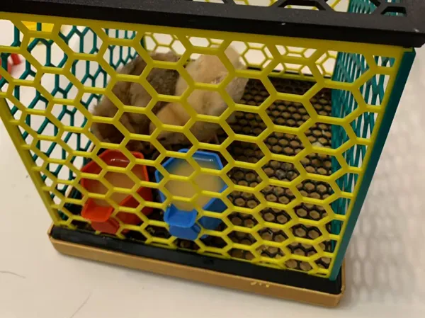 https://makerworld.bblmw.com/makerworld/model/US1d7e9eb0cd7630/design/2025-03-28_7361c548065c5.jpg