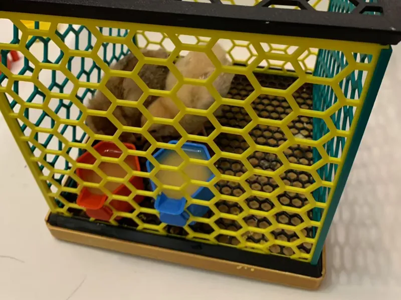Bird Cage 