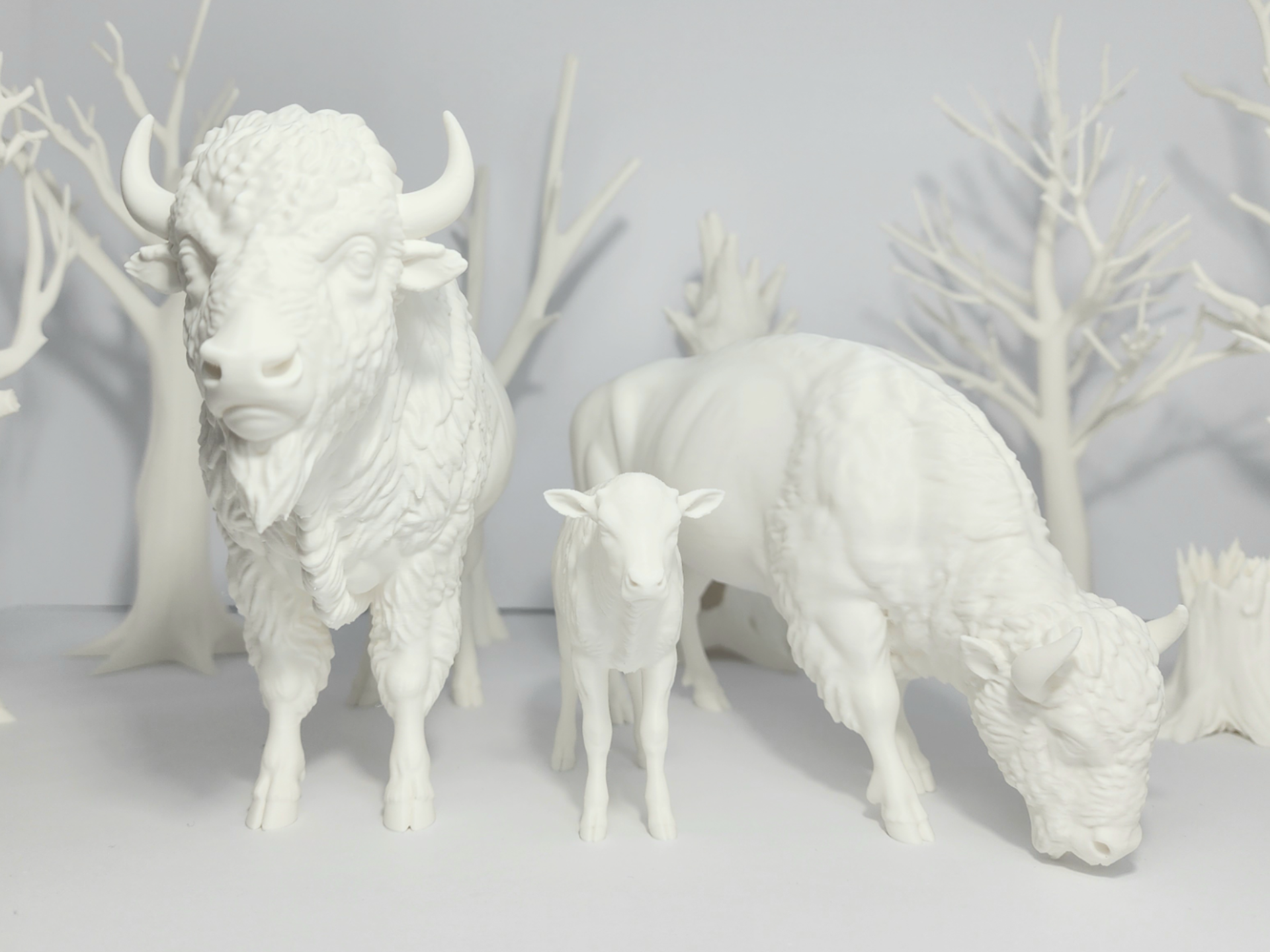 Realistic Bison Family