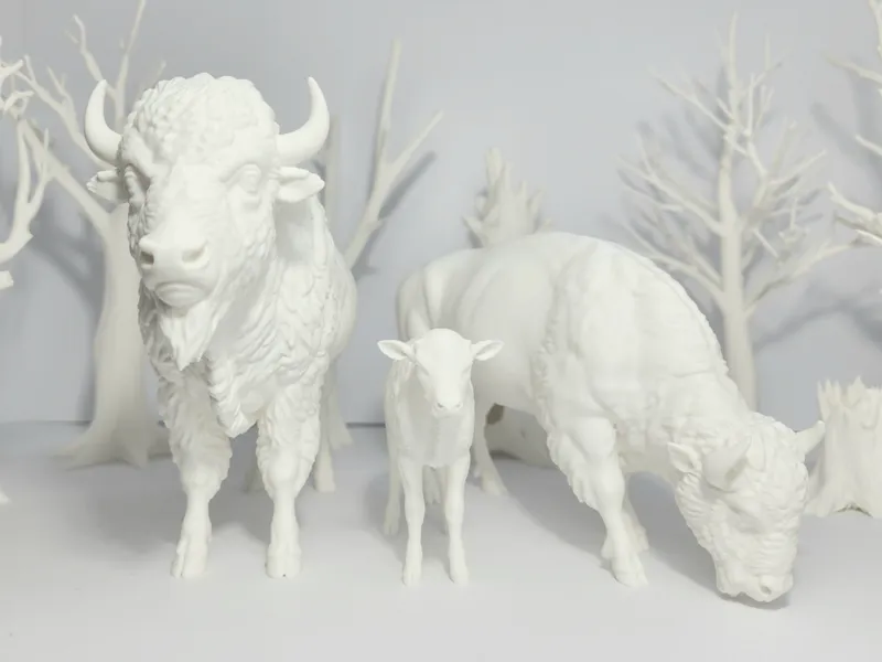Realistic Bison Family