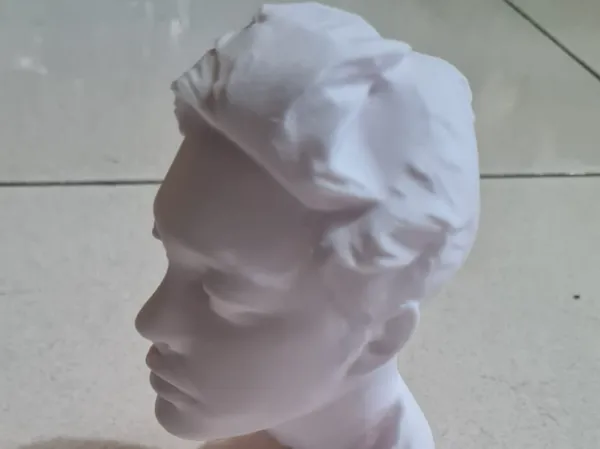 https://makerworld.bblmw.com/makerworld/model/US1d83cabc9f226d/design/2025-03-27_32c1d32e9a6bb.jpeg