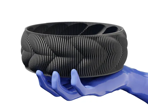 https://makerworld.bblmw.com/makerworld/model/US1d8525ce496f44/design/2025-02-09_f2c2d1d9eb242.jpg