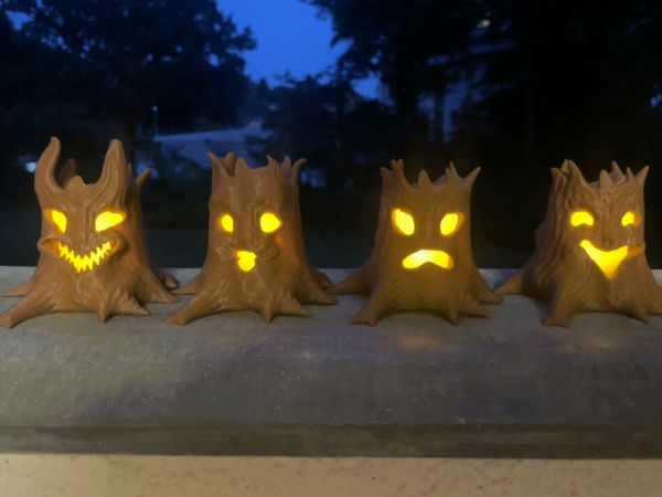 https://makerworld.bblmw.com/makerworld/model/US1d8591697aa36a/design/2024-09-23_77681e21868328.gif